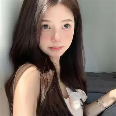 白粉飞 第五季